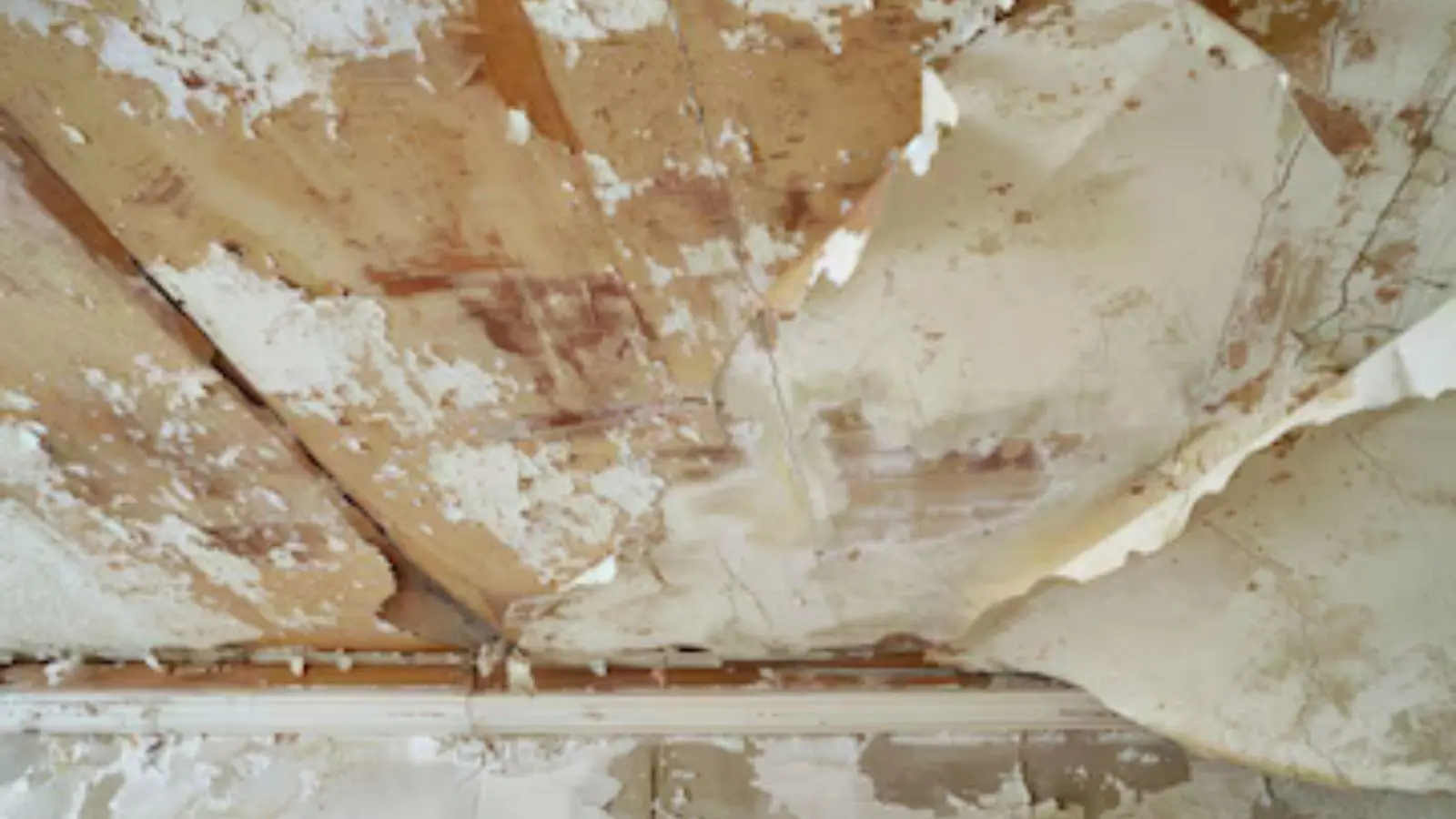 Peeling and stained ceiling paint after a roof leak