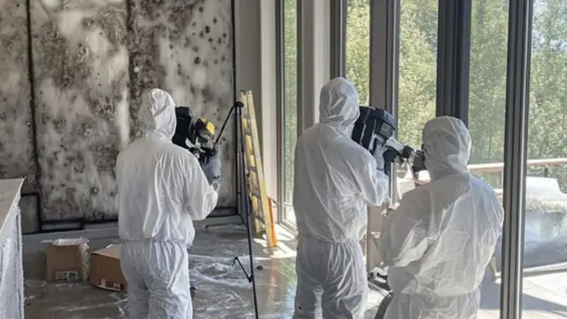 Three technicians in protective suits with cameras inspecting a mold-affected room